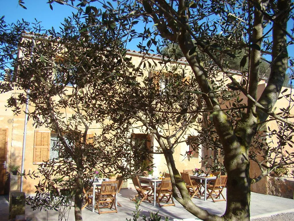Κατάλυμα σε φάρμα Cas Padri Guillem Ξενοδοχείο Sant Llorenc Des Cardassar Ισπανία